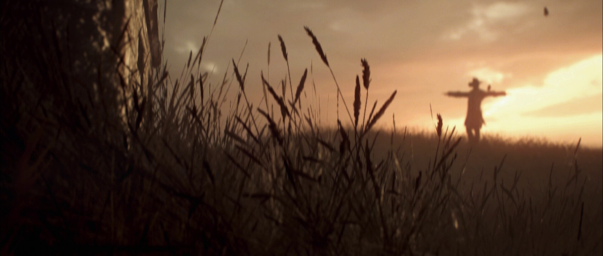 Scarecrow 2