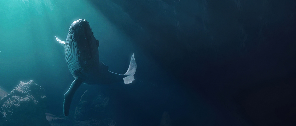 Whale under ocean, Comcast Universal Sphere